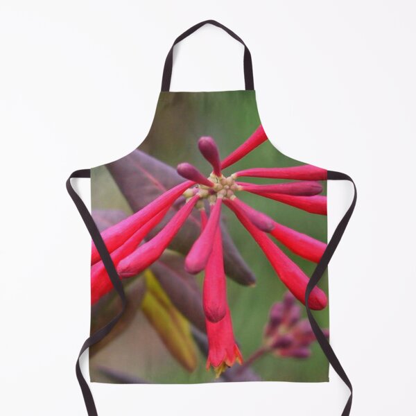 Item preview, Trumpet Honeysuckle - Buds of Coral Woodbine designed and sold by taiche.