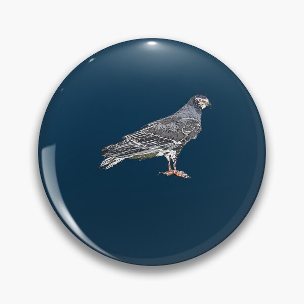 Item preview, Everglade Snail Kite White Alternate Design  designed and sold by designsasstultd.