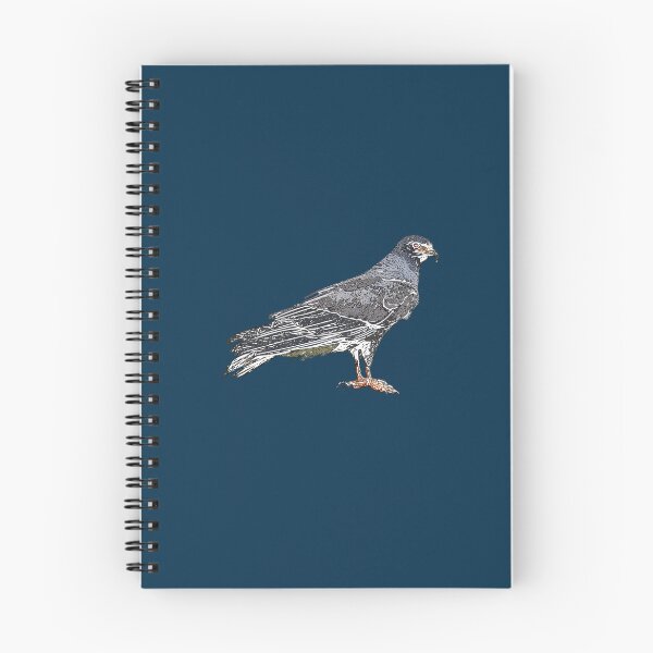 Item preview, Everglade Snail Kite White Alternate Design  designed and sold by designsasstultd.