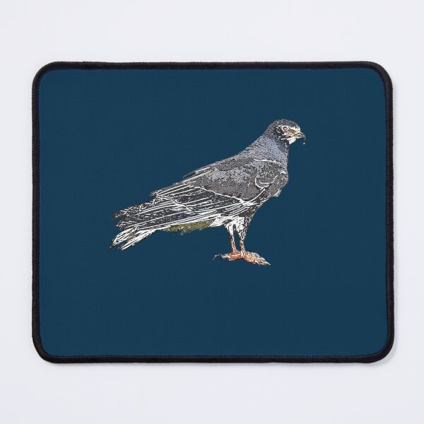 Item preview, Everglade Snail Kite White Alternate Design  designed and sold by designsasstultd.