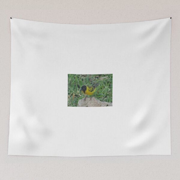 Item preview, North - Eastern African home - close up yellow and black bird designed and sold by exploramum.