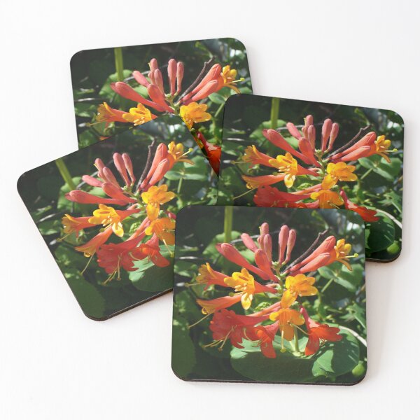 Item preview, Orange Flowers of Woodbine Honeysuckle designed and sold by taiche.