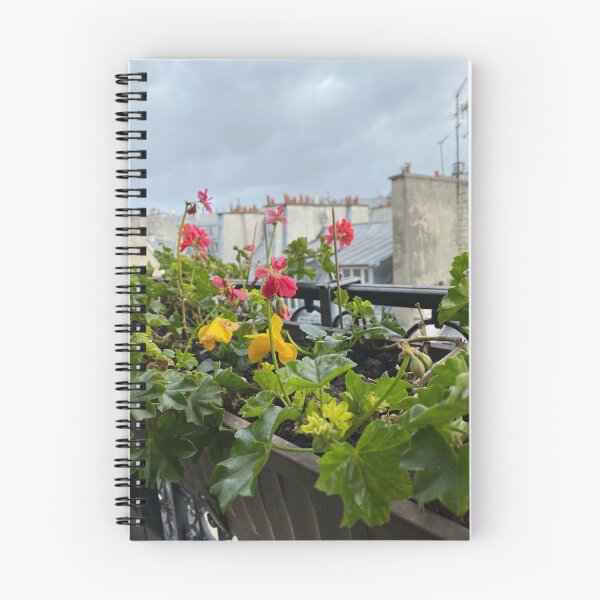 Artikelvorschau, Ein Blumenkasten auf einem Pariser Balkon entworfen und verkauft von OutOfTordinary.
