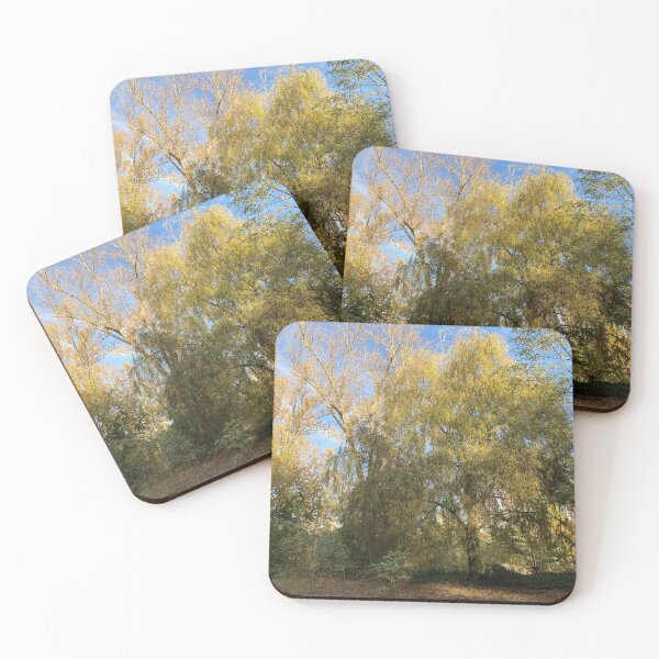 Item preview,  5 The Confluent Park by AFAVISION designed and sold by AFAVISION.