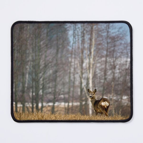Item preview, Femine atraction. Roe deer designed and sold by Jouko Lehto Photography.