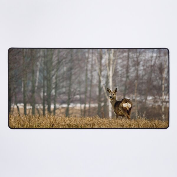 Item preview, Femine atraction. Roe deer designed and sold by Jouko Lehto Photography.
