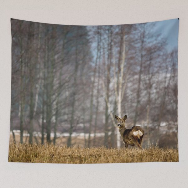 Item preview, Femine atraction. Roe deer designed and sold by Jouko Lehto Photography.