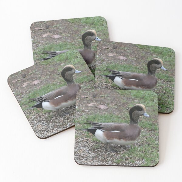 Item preview, Wigeon Bird Picture designed and sold by Monika Hamilton.