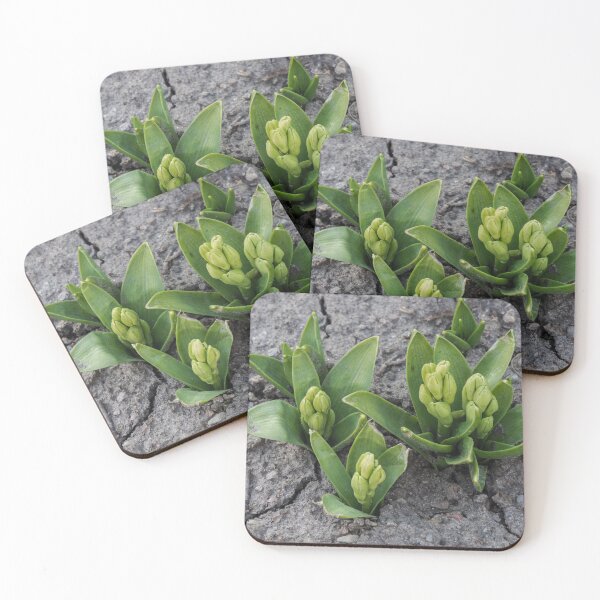 Item preview, Pushing Up Through Arid Soil designed and sold by Gerda Grice Photography.
