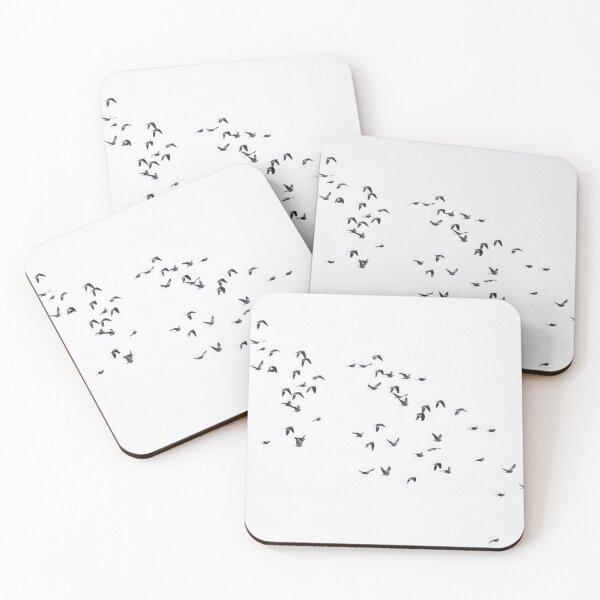 Item preview, Migration party. Common wood pigeon transparent designed and sold by Jouko Lehto Photography.