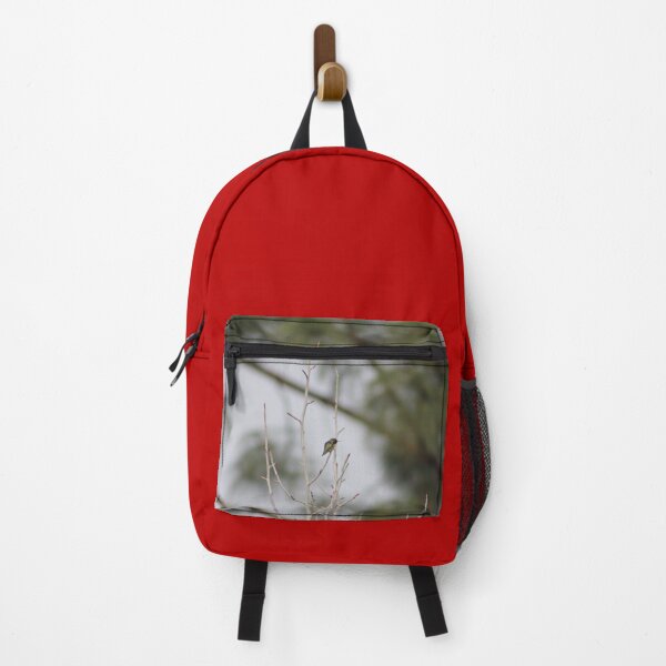 Item preview, A Calypte anna in a tree. designed and sold by John Jacob Jingleheimer Schmidt.