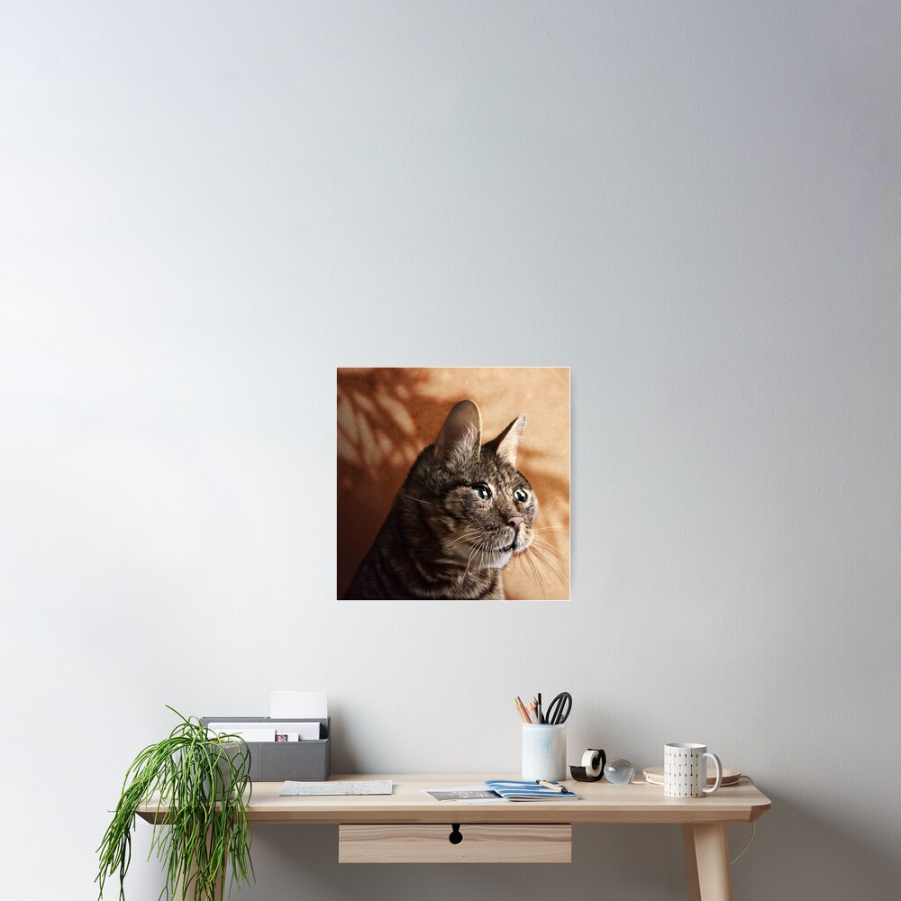 Item preview, Poster designed and sold by PixelPonderer.