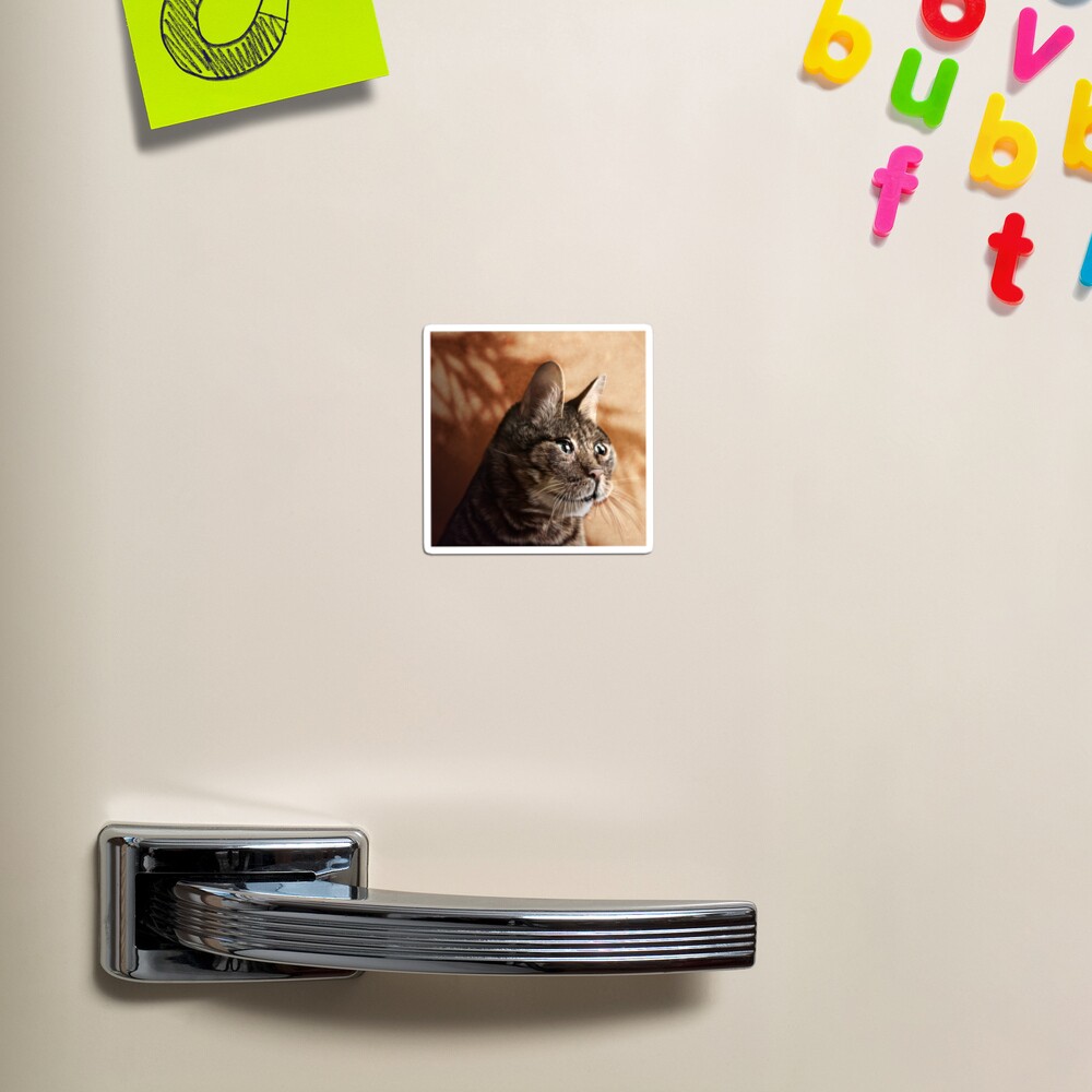 Item preview, Magnet designed and sold by PixelPonderer.