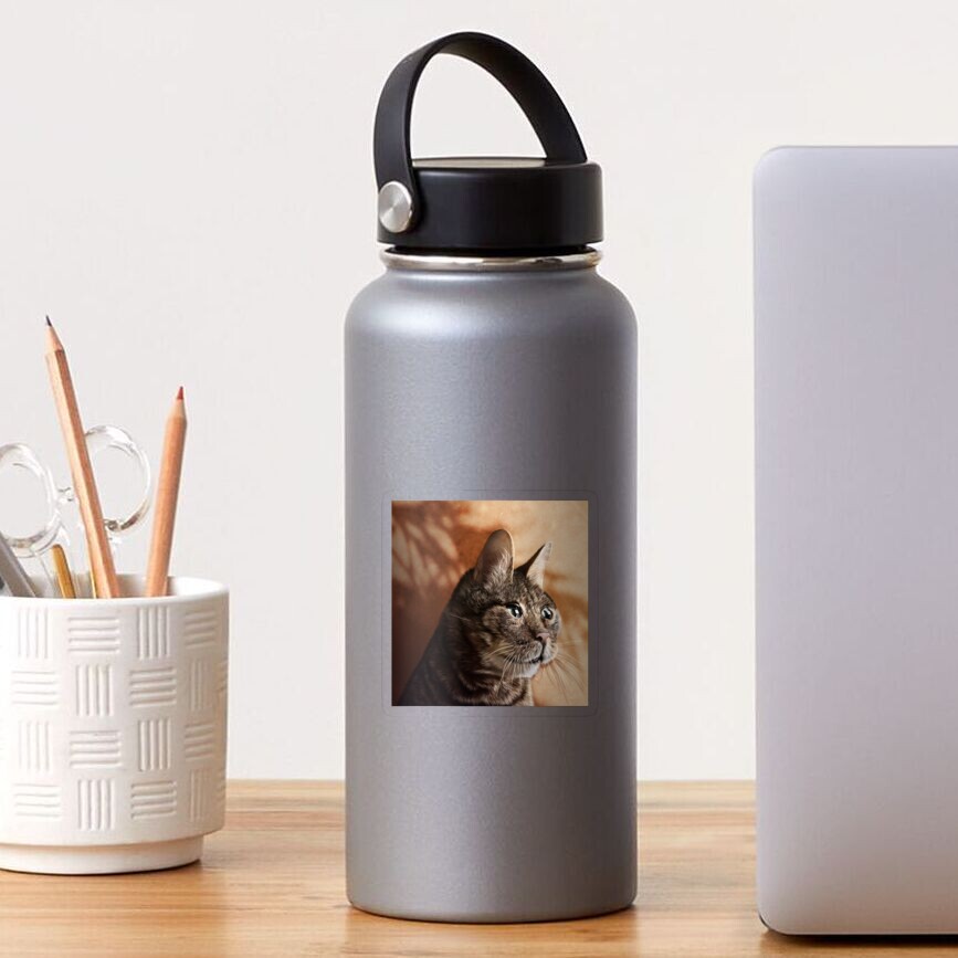 Item preview, Transparent Sticker designed and sold by PixelPonderer.