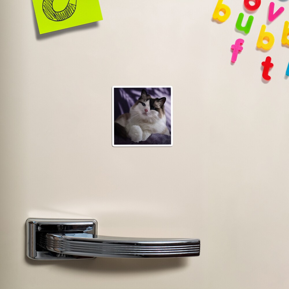 Item preview, Magnet designed and sold by PixelPonderer.