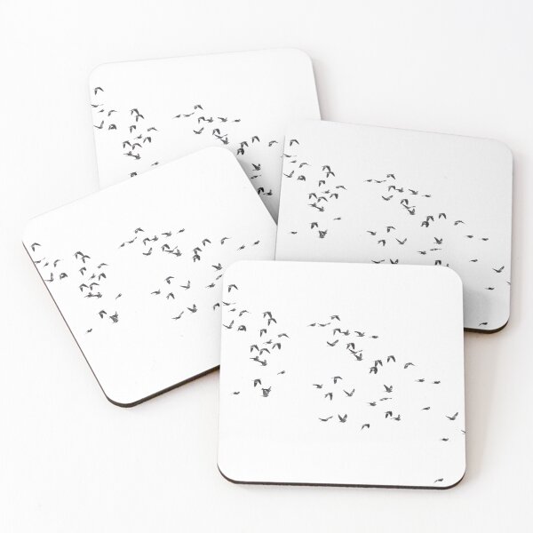 Item preview, Migration party. Common wood pigeon transparent designed and sold by Jouko Lehto Photography.