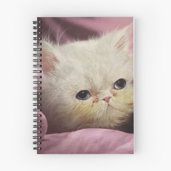 Item preview, Pawsitive Vibes : Wisp designed and sold by PixelPonderer.