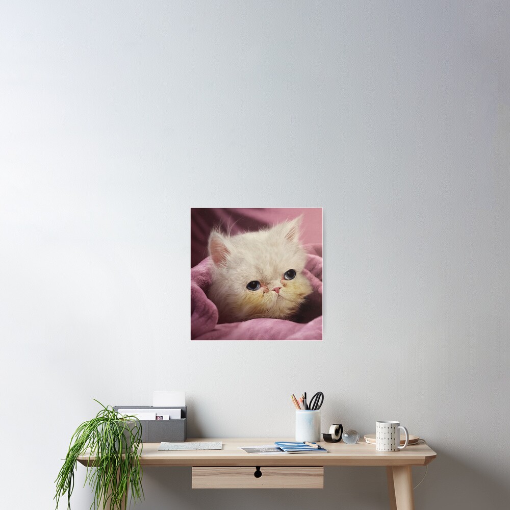 Item preview, Poster designed and sold by PixelPonderer.