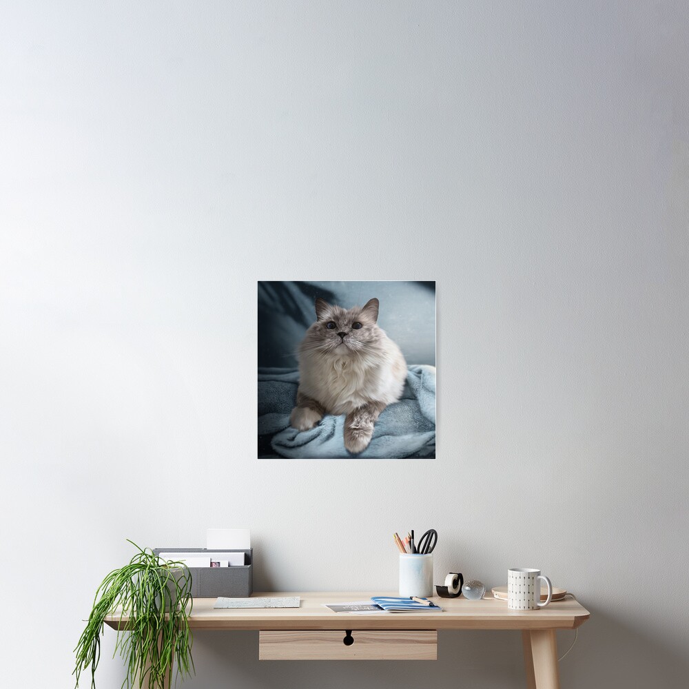 Item preview, Poster designed and sold by PixelPonderer.