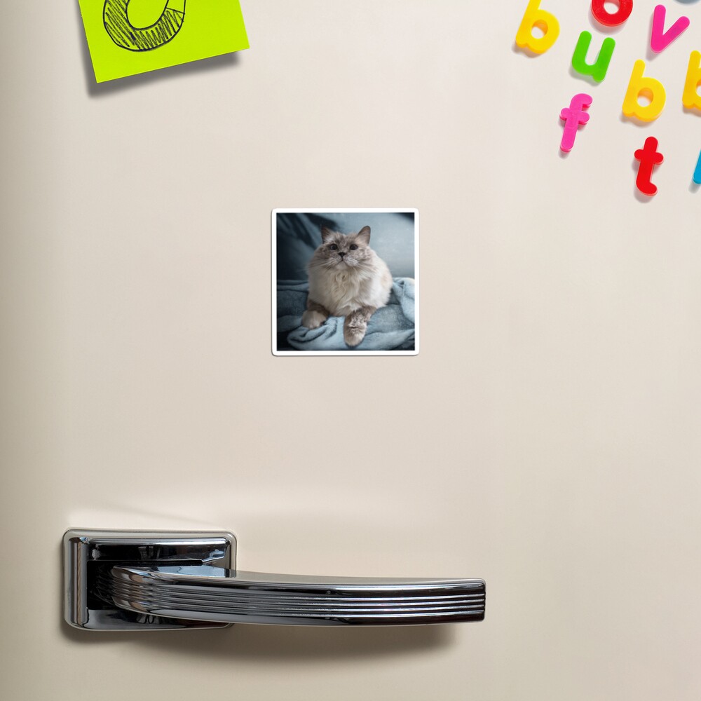 Item preview, Magnet designed and sold by PixelPonderer.