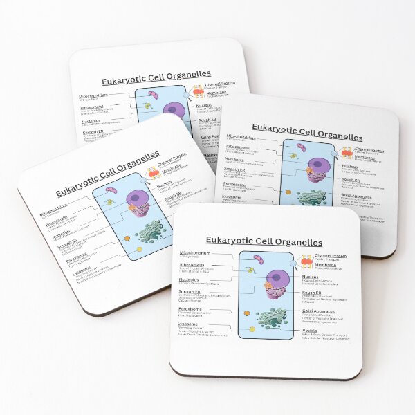 Item preview, Eukaryotic Cell Organelles and Their Function designed and sold by Biology-Hub.