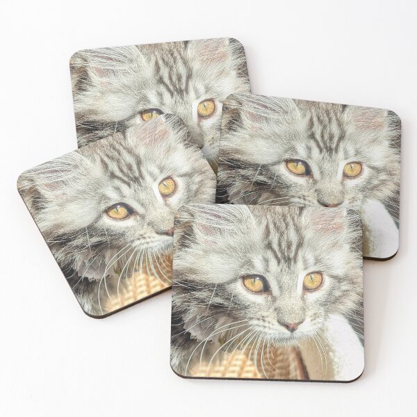 Item preview, Mainecoon kitten hunting designed and sold by Fluffycat2020.