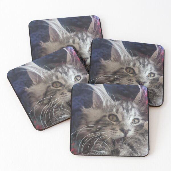 Item preview, Grey tabby Mainecoon kitten designed and sold by Fluffycat2020.