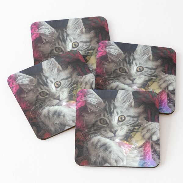 Item preview, Mainecoon kitten flowers designed and sold by Fluffycat2020.