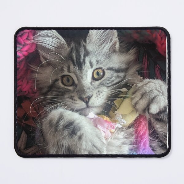 Item preview, Mainecoon kitten flowers designed and sold by Fluffycat2020.