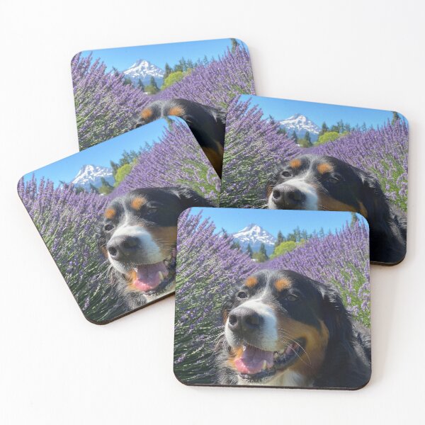 Item preview, Bernese Mountain Dog Oregon designed and sold by KantstandyaC.