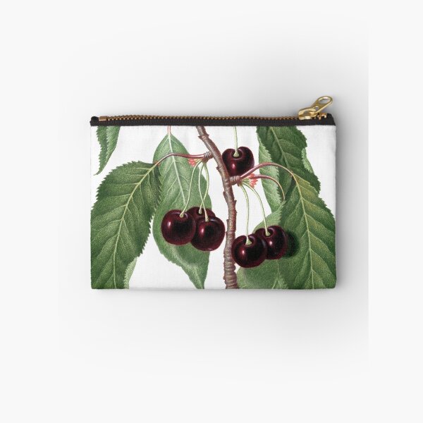 Item preview, Botanical - Cherry2 - [Myrobalan plum, cherry plum] (1817-1839) - Gallesio, Giorgio  designed and sold by imageresource.