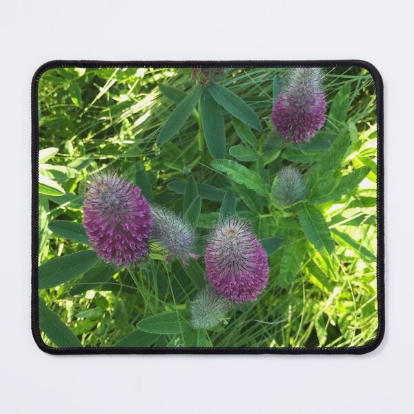 Item preview, Pretty flower in bloom along the Highline Walkway designed and sold by OutOfTordinary.
