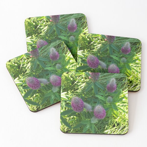 Item preview, Pretty flower in bloom along the Highline Walkway designed and sold by OutOfTordinary.