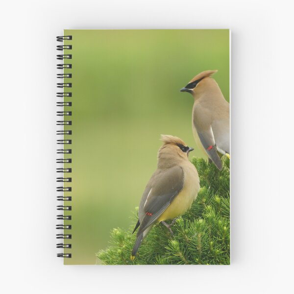 Item preview, Cedar waxwings in Wisconsin  designed and sold by distracted.