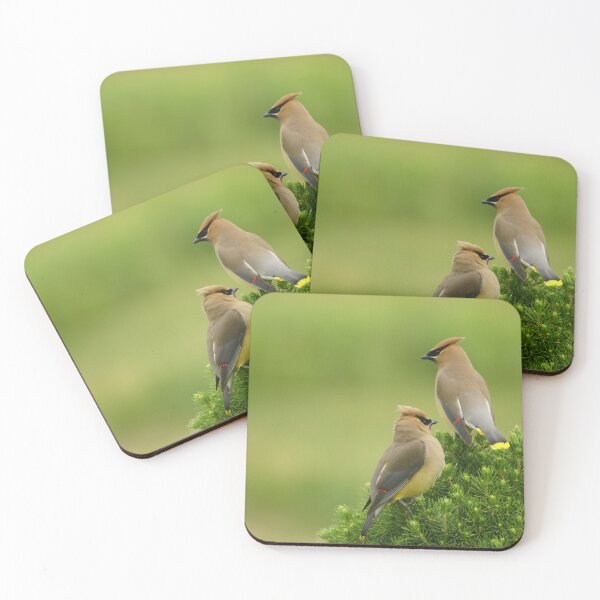 Item preview, Cedar waxwings in Wisconsin  designed and sold by distracted.