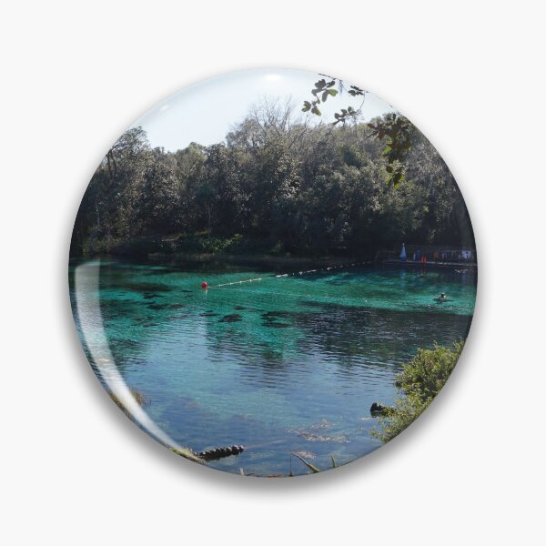 Item preview, Rainbow springs, Florida designed and sold by distracted.
