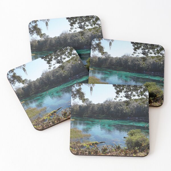 Item preview, Rainbow springs, Florida designed and sold by distracted.