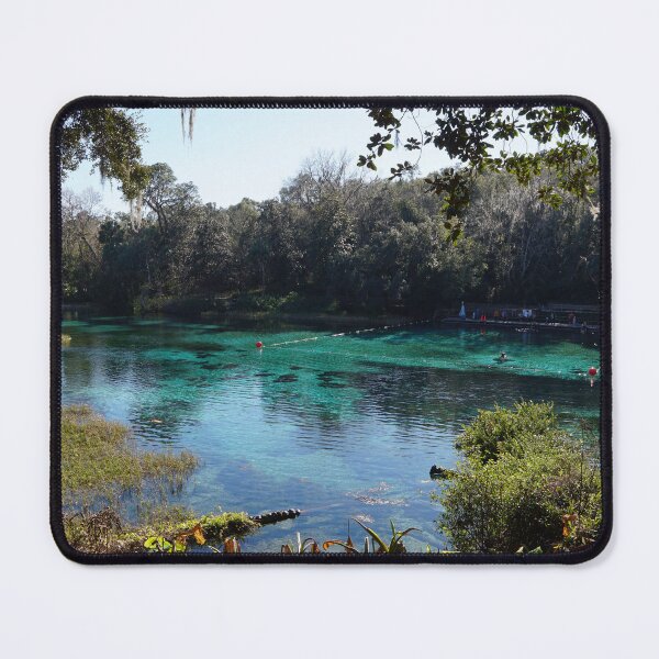 Item preview, Rainbow springs, Florida designed and sold by distracted.