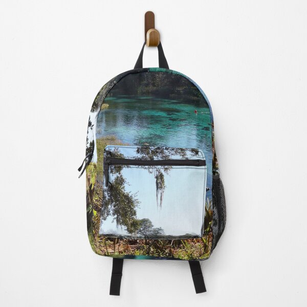 Item preview, Rainbow springs, Florida designed and sold by distracted.