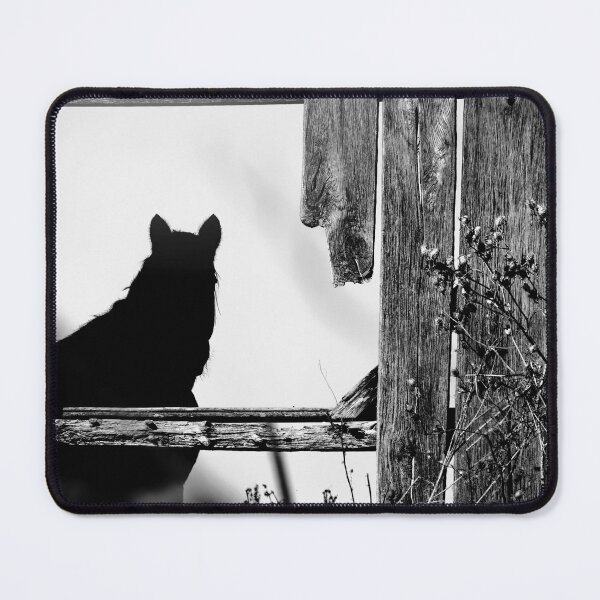 Item preview, Equine Encounter BW designed and sold by Jim Love.