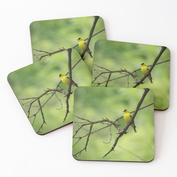 Item preview, American goldfinch designed and sold by distracted.