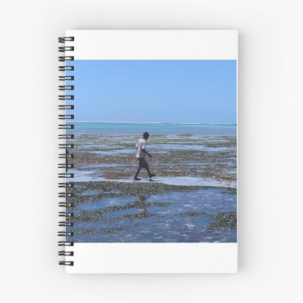 Item preview, Collecting shells on the reef in Kenya 1 designed and sold by exploramum.
