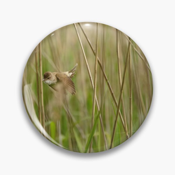 Item preview, Reed warbler designed and sold by distracted.
