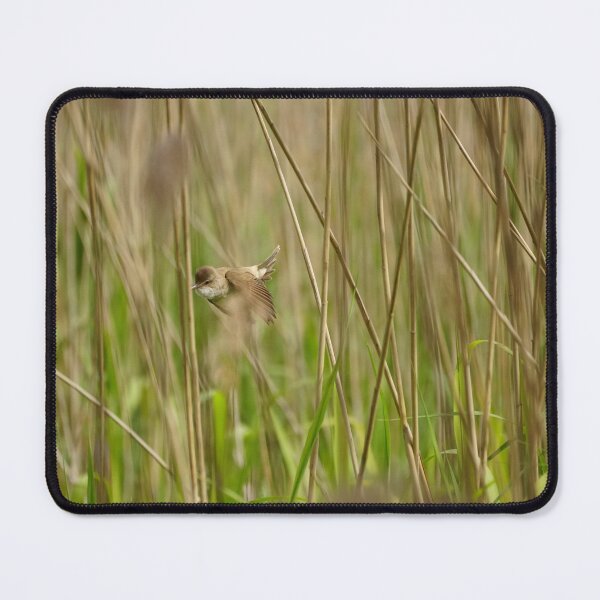 Item preview, Reed warbler designed and sold by distracted.