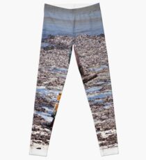 Afrikanerin, die Shells 1 sammelt Leggings