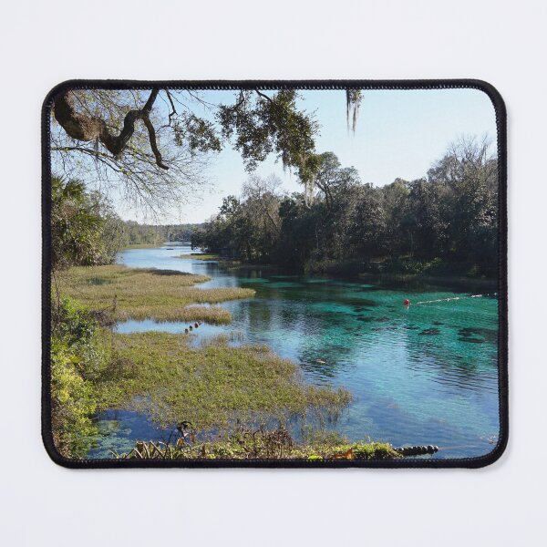 Item preview, Rainbow springs designed and sold by distracted.