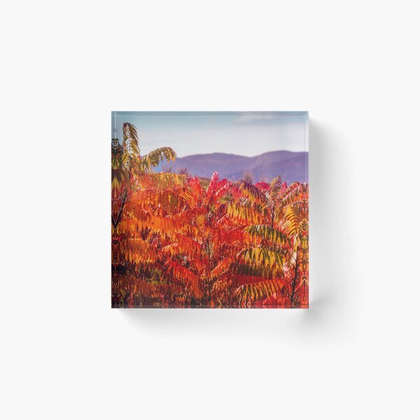 Item preview, Autumn Spectrum designed and sold by Jim Love.