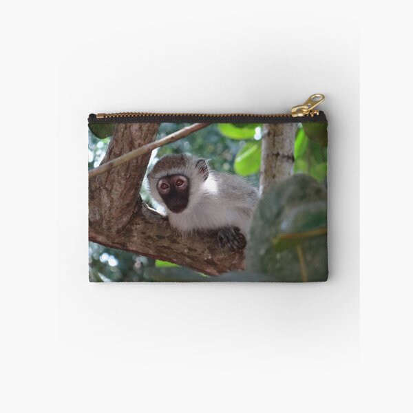 Item preview, White monkey in a Tree 2 designed and sold by exploramum.