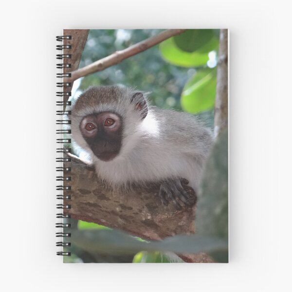 Item preview, White monkey in a Tree 2 designed and sold by exploramum.