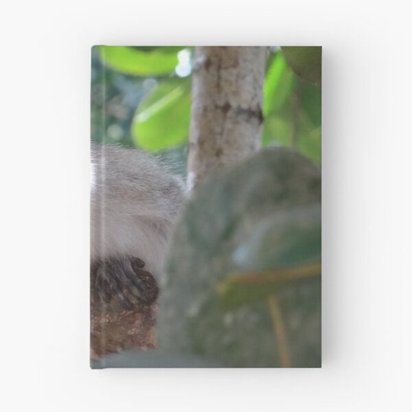 Item preview, White monkey in a Tree 2 designed and sold by exploramum.